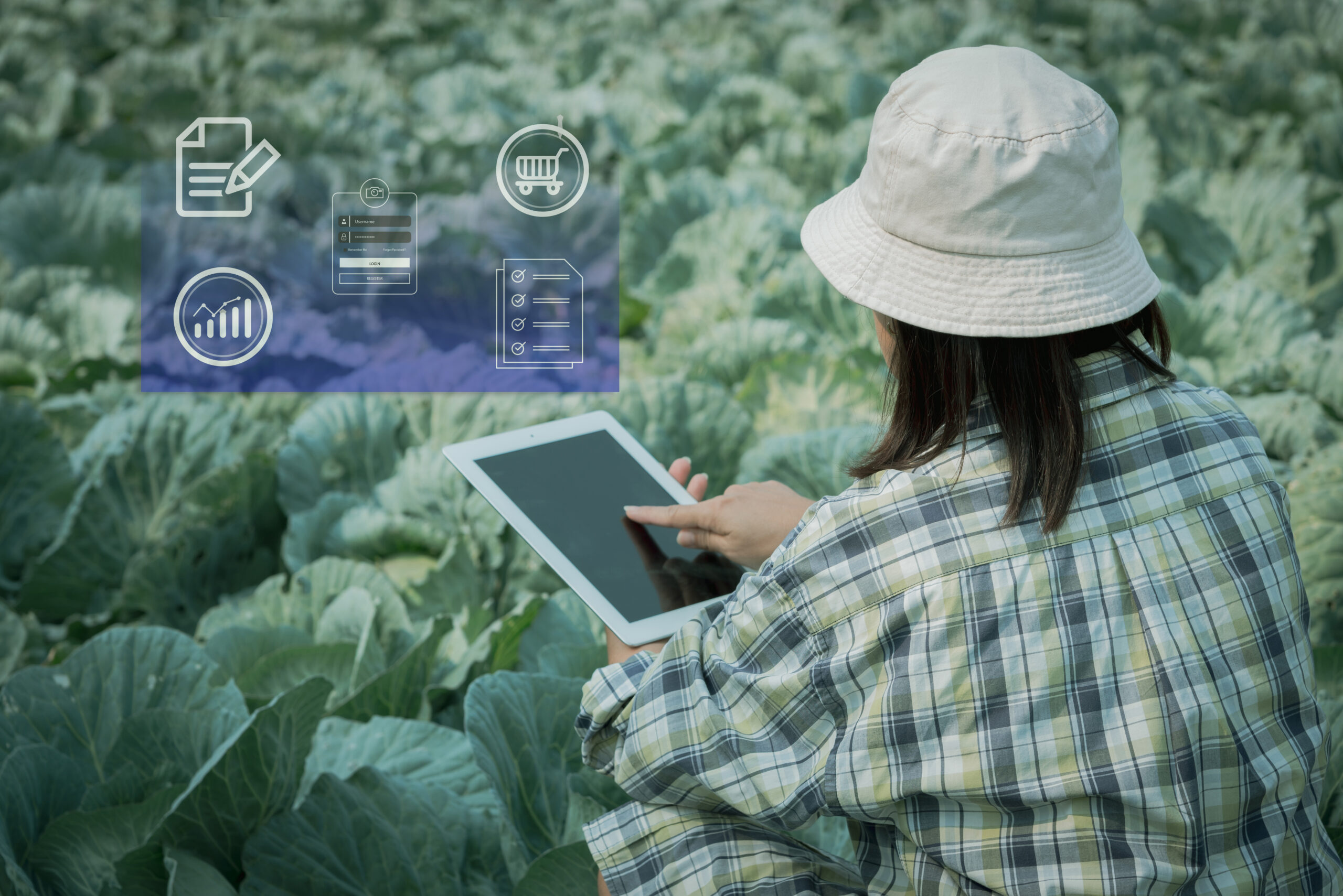 Synchronize Data Offline Bidirectionally for Seamless Updates